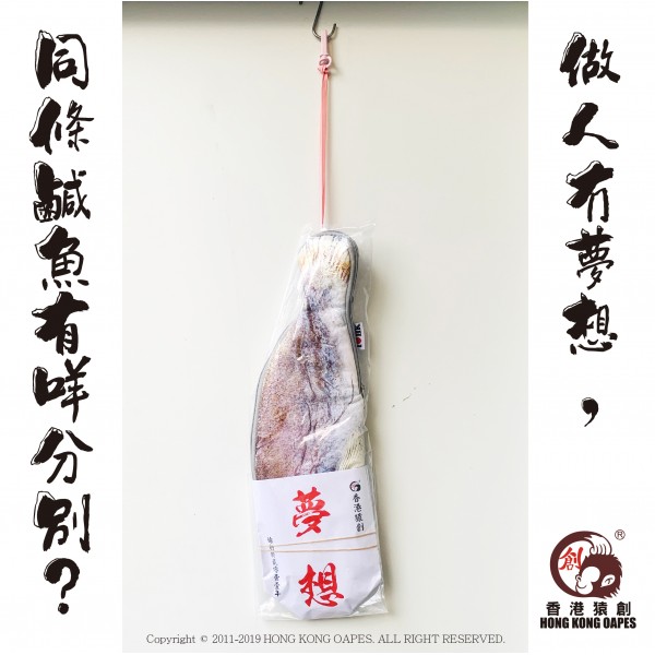 JS021~ Salted Fish Shaped Reusable Umbrella Pouch