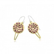 Earrings (5)